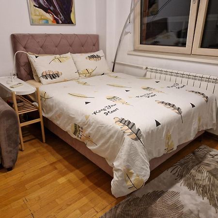 Owl Apartment Belgrado Esterno foto