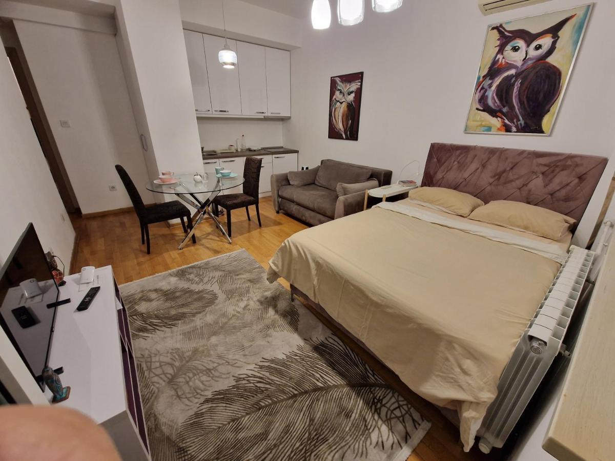 Owl Apartment Belgrado Esterno foto