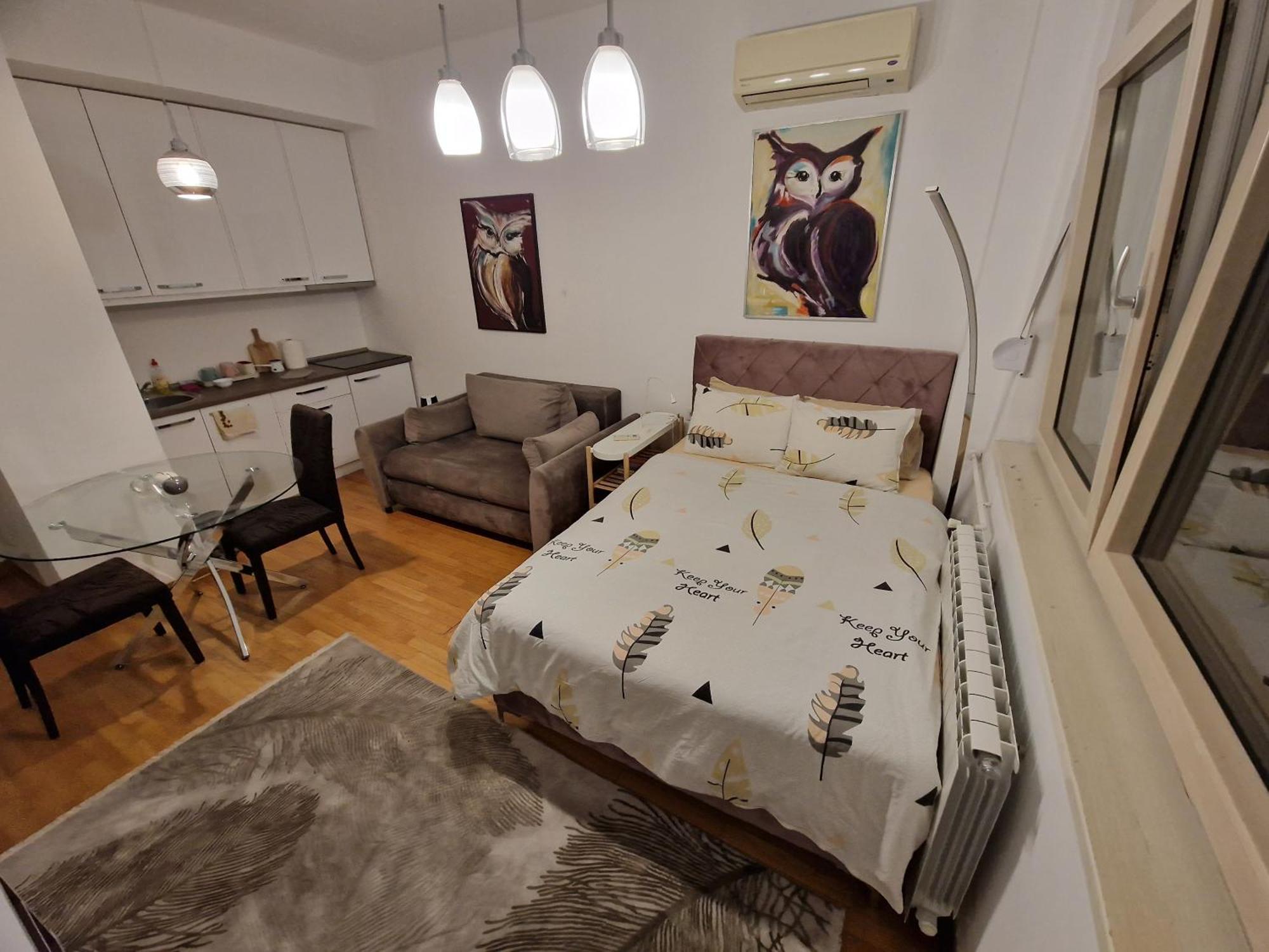 Owl Apartment Belgrado Esterno foto